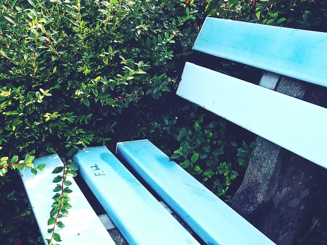 守门员的手 守门员的手