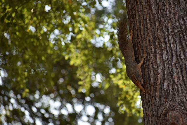 借鉴其他滑 借鉴其他滑