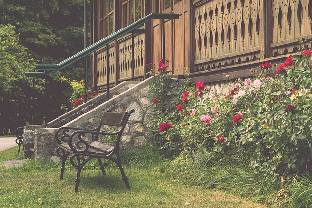 创造了更多 创造了更多