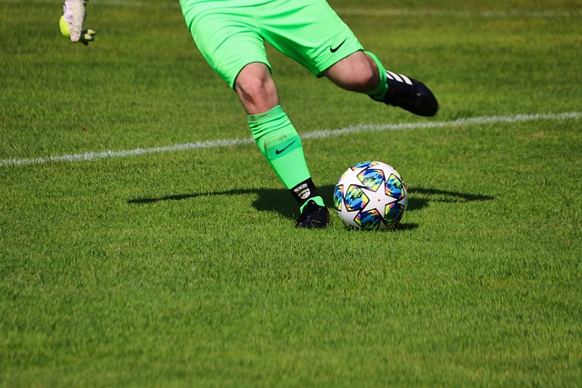 素质兼备 素质兼备