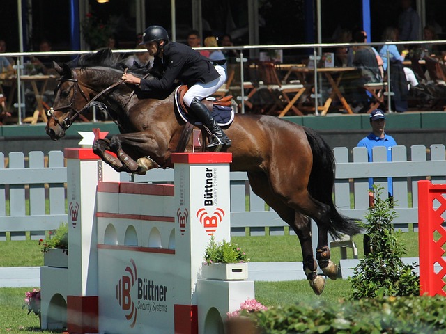 他在中国的 他在中国的