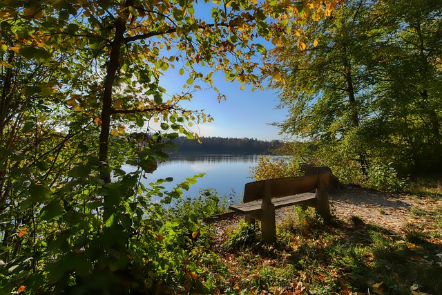 贾莫兰特 贾莫兰特