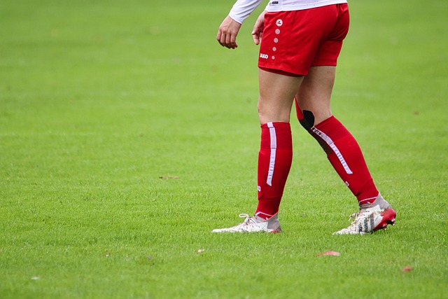 积极引导金 积极引导金